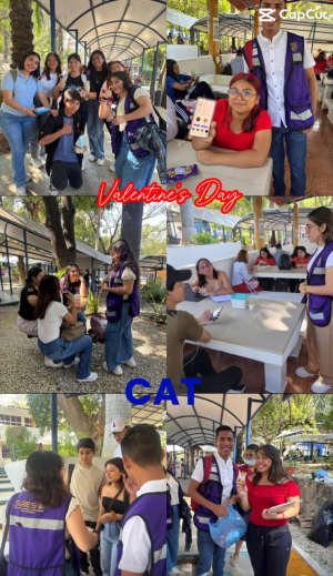 Amor Compañero CAT