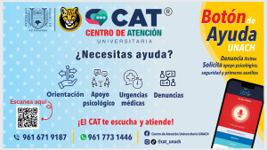 SERVICIOS CAT